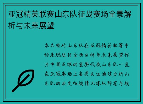 亚冠精英联赛山东队征战赛场全景解析与未来展望 亚冠精英联赛山东队征战赛场全景解析与未来展望